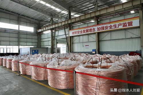 向绿而行，智造未来 湘潭金龙新材料的技术创新之路